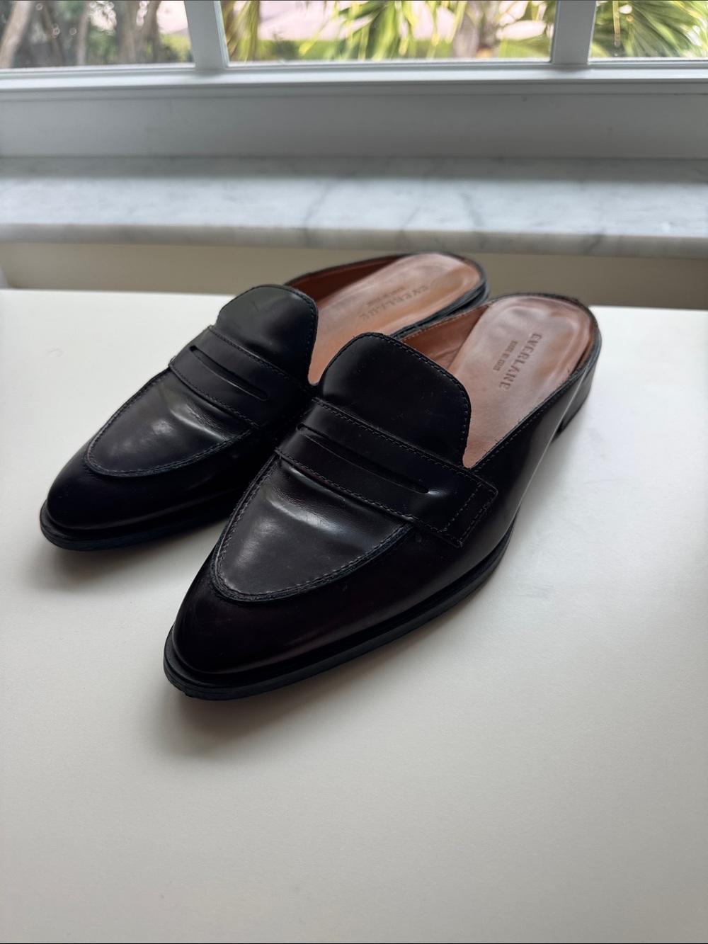 Everlane Chocolate Brown Leather Slip-On Penny Mules - Women
